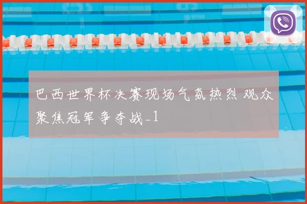 巴西世界杯决赛现场气氛热烈 观众聚焦冠军争夺战_1